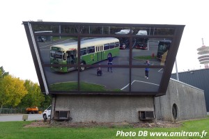 Photo 08.jpg