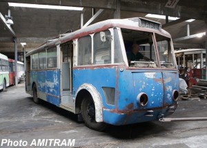 Photo 20190314102034-d7bef7e0.jpg