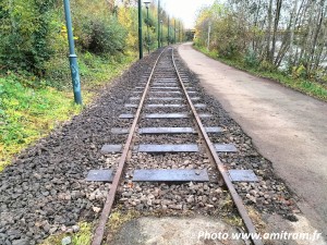 Photo 20250121112311-a6b2d4a5.jpg