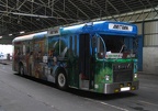 175bus